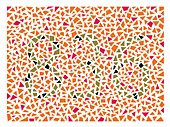 Colour blindness test chart, illustration