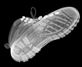 Boot, X-ray