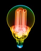 Energy saving light bulb, X-ray