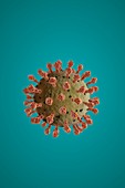 Covid-19 virus in soap bubbles, illustration