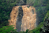 Opaekaa Falls, Kauai, Hawaii, USA