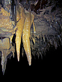 Cave Formations, Ozarks