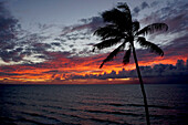 Maui Sunset