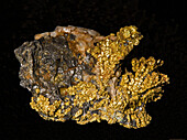 Gold Nugget