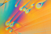 Mixture of common amino acids, Polarized Light Microscopy