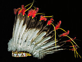 Eagle Feather Head Dress, Lakota Tribe