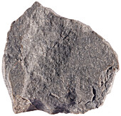 Compact Limestone