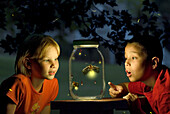 Kids Watch Fireflies in a Jar