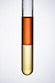 Solubility of bromine