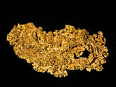 Gold Nugget