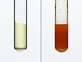 Solid and liquid sulfur