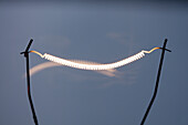 Glowing Lightbulb Filament