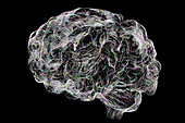 Brain neural network, illustration
