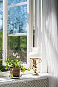 Potted plant and table lamp on windowsill