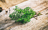 Fresh thyme twig on a wooden background