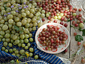 Green and red gooseberries