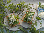 Pea crostini with mint and Parmesan
