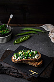 Still life of pea and cheese toast served on a slate plate against dark background