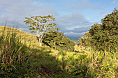 Valle El Coto Brus, Costa Rica, Central America