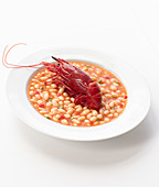 Red boiled crawfish with beans in tomato sauce