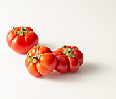 'Costoluto' tomatoes