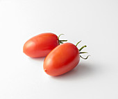 Tomaten der Sorte 'Perino'