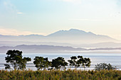 Corcovado National Park, Osa Peninsula, Costa Rica, Central America