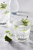 Mojito cocktails in glasses with ice cubes