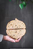 Fresh baked bread loaf against gray background
