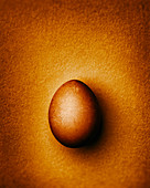 Golden Easter egg on a gold-colored background