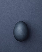 Purple-gray Easter egg on a purple-gray background