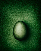 Dark green Easter egg on a dark green background