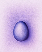 Purple Easter egg on a purple background