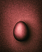 Rust-brown Easter egg on a rust-brown background