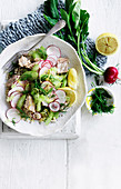 Reissalat mit Thunfisch, Stangensellerie und Radieschen