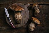 Raw whole porcini with knife and cutting board