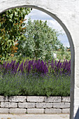 Blick durch Tor auf Trockenmauer mit Lavendel und Steppensalbei, dahinter weidenblättrige Birne