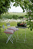 Trug of elderflowers and poppies on table and two chairs in garden