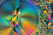 Amino acids and metal salts, polarised light micrograph