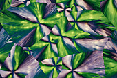 Inorganic and metal salts, polarised light micrograph