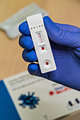 Rapid serology tests (negative result)