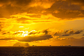 Sunset off the Danco coast, Antarctic Peninsular