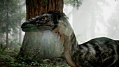 Dromaeosaurus dinosaur, illustration