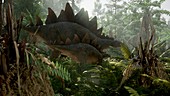 Stegosaurus dinosaur, illustration