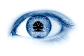 Human eye with yuan currency symbol, illustration