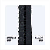 Damaged versus healthy hair, conceptual illustration