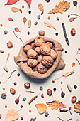 Walnuts in burlap sack with autumn decoration