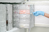 Laboratory freezer