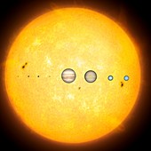 Planets compared to the Sun