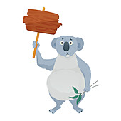 Koala with placard, illustration
